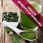 Logo of Health Benefits of Spirulina - android Application 